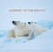 Journey to the Arctic (Visions of the Arctic) by Florian Schulz, 9781594854880