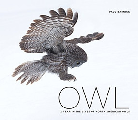 Owl (A Year in the Lives of North American Owls) by Paul Bannick, 9781594858000