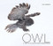 Owl (A Year in the Lives of North American Owls) by Paul Bannick, 9781594858000