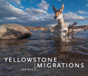 Yellowstone Migrations by Joe Riis, Arthur Middleton, Emilene Ostlind, Gretel Ehrlich, Thomas Lovejoy, 9781680510898