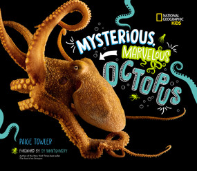 Mysterious, Marvelous Octopus by Paige Towler, Sy Montgomery, 9781426376825