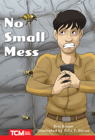 No Small Mess (Level 1: Book 7) by Eric Braun, Julio Garza, Julio F. Garza, 9798765924075