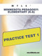 MTLE Minnesota Pedagogy: Elementary (K-6) Practice Test 1 by Sharon Wynne, 9781607872917