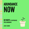 Abundance Now (60 Ways to Experience True Abundance) by Jesse Sands, 9781250765529