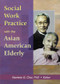Social Work Practice with the Asian American Elderly by Namkee G Choi, 9780789016898