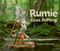 Rumie Goes Rafting by Meghan Marentette, 9781771476355