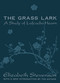 Grass Lark (Study of Lafcadio Hearn) by Elizabeth Stevenson, 9780765804853