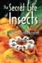 The Secret Life of Insects (An Entomological Alphabet) by Peter Milward, 9781138516854