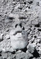 Museums, Moralities and Human Rights - 9781138232013 by Richard Sandell, 9781138232013
