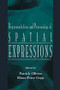 Representation and Processing of Spatial Expressions by Patrick Olivier, Klaus-Peter Gapp, 9781138012394