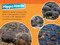 Hippos (National Geographic Kids Readers, Level 1) by Maya Myers, National Geographic Kids, 9781426377020