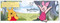 Pop-Up Peekaboo! Disney Winnie the Pooh by DK, Frankie Hallam, 9780744094671