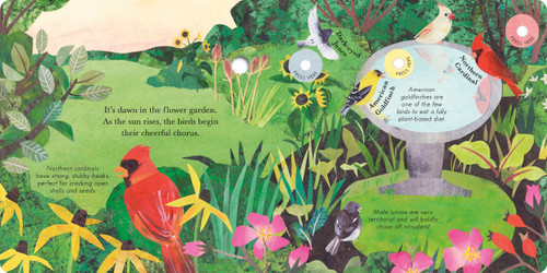 Songs of the Birds (A Guide to North American Bird Calls and Songs) by Isabel Otter, Clover Robin, 9781664351097
