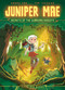 Juniper Mae: Secrets of the Guardian Knights by Sarah Soh, Tim Fraser, 9781838741693