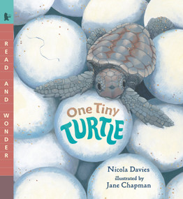 One Tiny Turtle (Read and Wonder) - 9781536235371 by Nicola Davies, Jane Chapman, 9781536235371