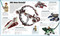 LEGO Star Wars Visual Dictionary (Library Edition) (Without Minifigure) - 9780744092660 by Elizabeth Dowsett, Simon Beecroft, Jason Fry, Simon Hugo