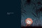 Mama in the Moon by Doreen Cronin, Brian Cronin, 9780593698204