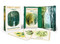 Forest Magic Oracle (A Deck and Guidebook for Green Witches) by Nikki Van De Car, Elin Manon, 9780762485352