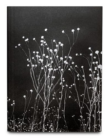 The Uncanny - 9781910401729 by Léonard Pongo, 9781910401729