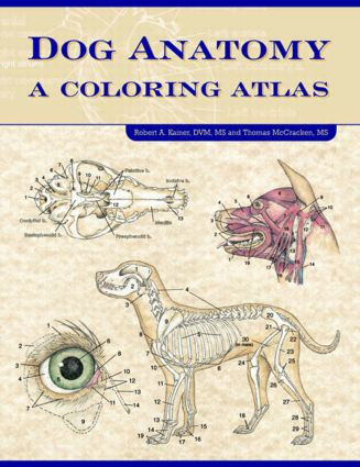 Dog Anatomy (A Coloring Atlas) by Robert Kainer, Thomas O. McCraken, 9781893441170