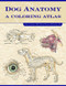 Dog Anatomy (A Coloring Atlas) by Robert Kainer, Thomas O. McCraken, 9781893441170