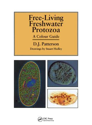 Freeliving Freshwater Protozoa by David J. Patterson, Stuart Hedley, 9781874545408