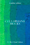 Cellophane Bricks (A Life in Visual Culture) by Jonathan Lethem, 9798988670001