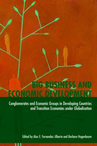 Big Business and Economic Development (Conglomerates and Economic Groups in Developing Countries and Transition Economies Under Globalisation) by Barbara Hogenboom, Alex E. Fernández Jilberto, 9780415464611