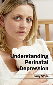 Understanding Perinatal Depression by Larry Stone, 9781632413789