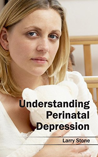 Understanding Perinatal Depression by Larry Stone, 9781632413789