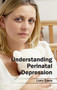 Understanding Perinatal Depression by Larry Stone, 9781632413789