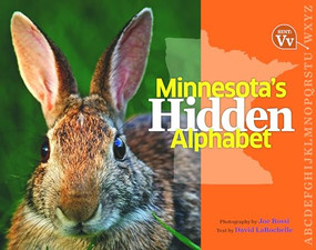 Minnesota's Hidden Alphabet by Joe  Rossi, David  LaRochelle, 9780873518086