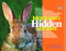 Minnesota's Hidden Alphabet by Joe  Rossi, David  LaRochelle, 9780873518086