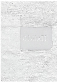 Dado (Built and Inhabited by Rudolf Olgiati and Valerio Olgiati) by Selina Walder, 9783034604307
