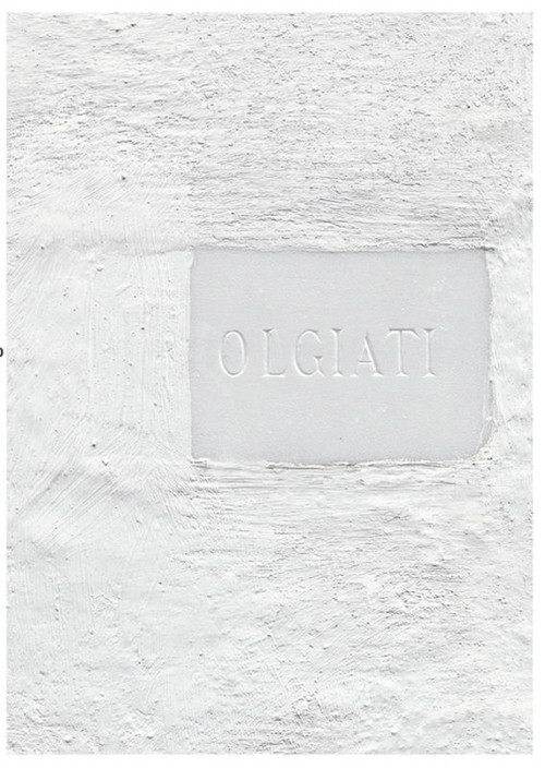 Dado (Built and Inhabited by Rudolf Olgiati and Valerio Olgiati) by Selina Walder, 9783034604307