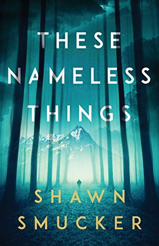 These Nameless Things by Shawn Smucker, 9780800735302