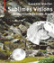 Sublimes Visions (Architectures dans les Alpes) (French Edition) by Susanne Stacher, 9783035615296