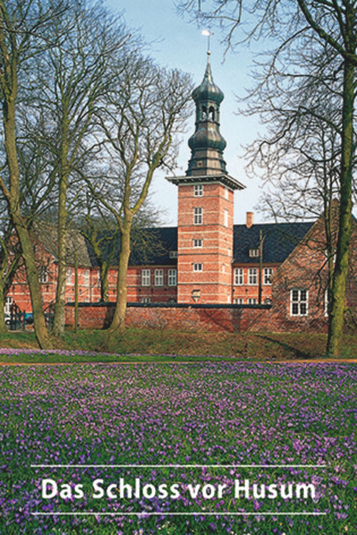 Das Schloss vor Husum (German Edition) by Ulf von Hielmcrone, 9783422022201