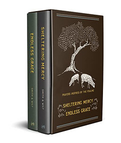 Prayers Inspired by the Psalms Boxed Set by Ryan Whitaker Smith, Dan Wilt, 9781587436130