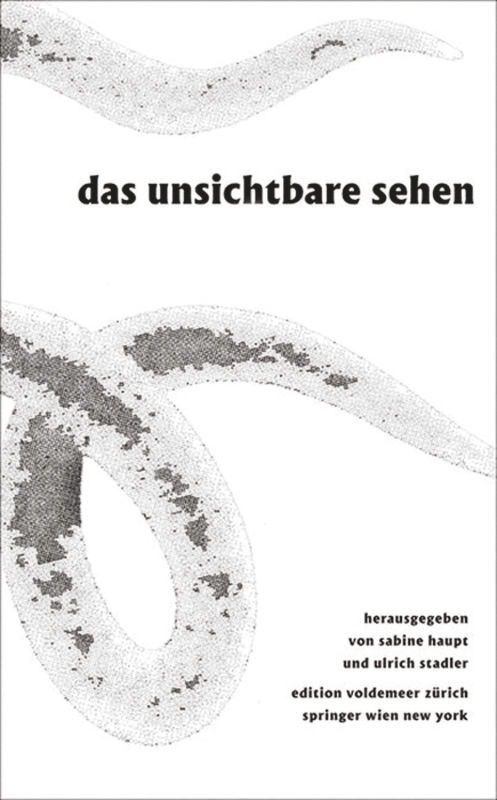 Das Unsichtbare sehen (Bildzauber, optische Medien und Literatur) (German Edition) by Sabine Haupt, Ulrich Stadler, 9783990430934