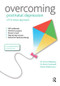 Overcoming Postnatal Depression: A Five Areas Approach by Chris Williams, Roch Cantwell, Karen Robertson, 9781444167504