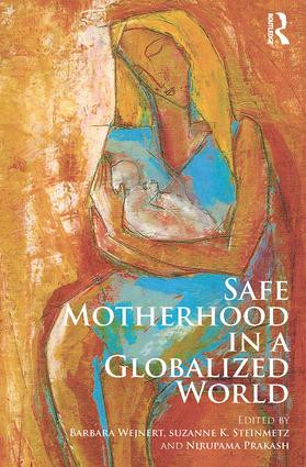 Safe Motherhood in a Globalized World by Barbara Wejnert, Suzanne K. Steinmetz, Nirupama Prakash, 9780415853408
