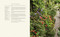 The Side Gardener (Recipes & Notes from My Garden) by Rosie Daykin, 9780525612179