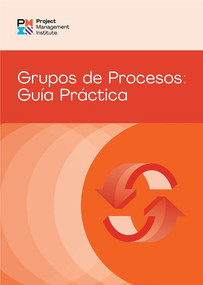 Process Groups: A Practice Guide (SPANISH) by PMI, 9781628257908