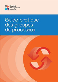 Process Groups: A Practice Guide (FRENCH) by PMI, 9781628257922