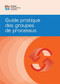 Process Groups: A Practice Guide (FRENCH) by PMI, 9781628257922