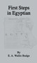 First Steps In Egyptian by E.A. Wallis Budge, 9780710309631