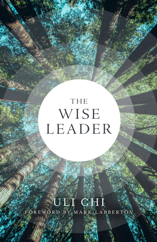 The Wise Leader by Uli Chi, 9780802884046