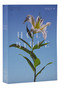 NRSV Catholic Edition Bible, Easter Lily Paperback (Global Cover Series) (Holy Bible) by Catholic Bible Press, 9781400337170