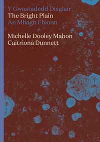 The Bright Plain by Michelle Dooley Mahon, Caitriona Dunnett, 9781914595615